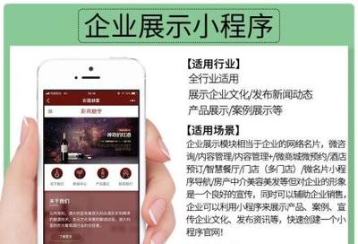 小程序定制開發、微信公眾號、推廣排名、吸粉